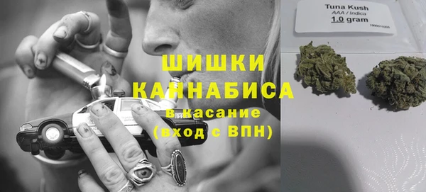 сатива Алзамай
