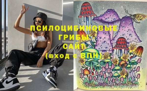 твердый Алексеевка