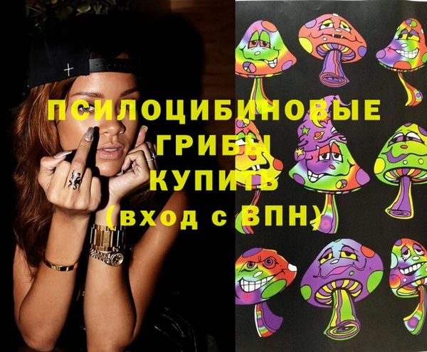 сатива Алзамай