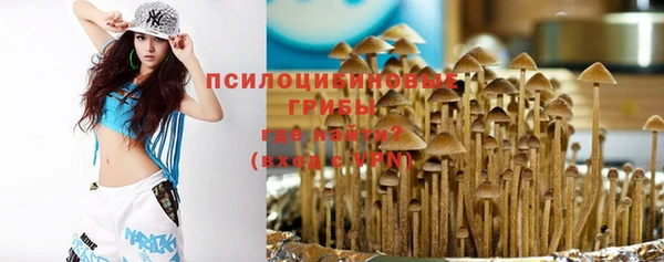 сатива Алзамай