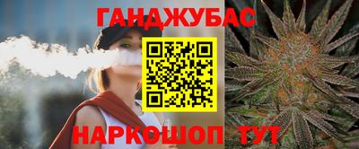 СК Гагарин