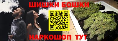 СК Гагарин